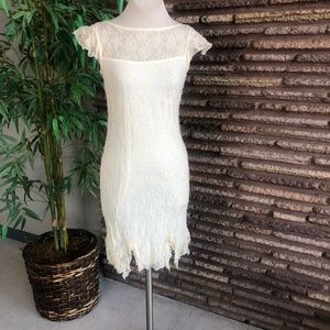 CDC Ivory Mesh Lace Bodycon Dress and Under Slip 12